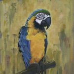Gallery 1 - Rich Tesner