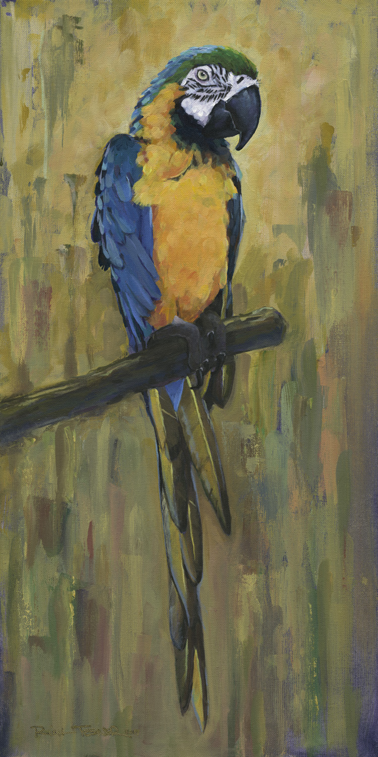 Gallery 1 - Rich Tesner