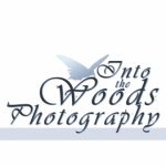 Christy Woods