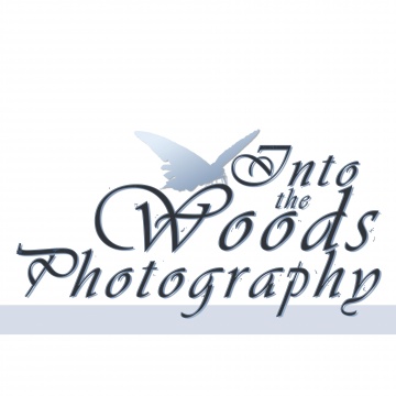 Christy Woods