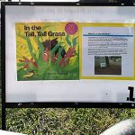 Gallery 2 - FREE Story Walk